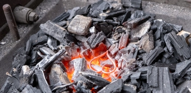 Assemblée annuelle Assemblée annuelle